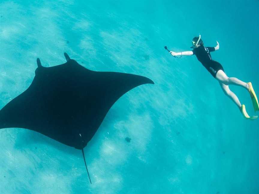 Ningaloo Marine Interactions, Tours in Coral Bay