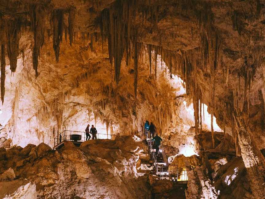 Mammoth Cave, Tours in Forest Grove