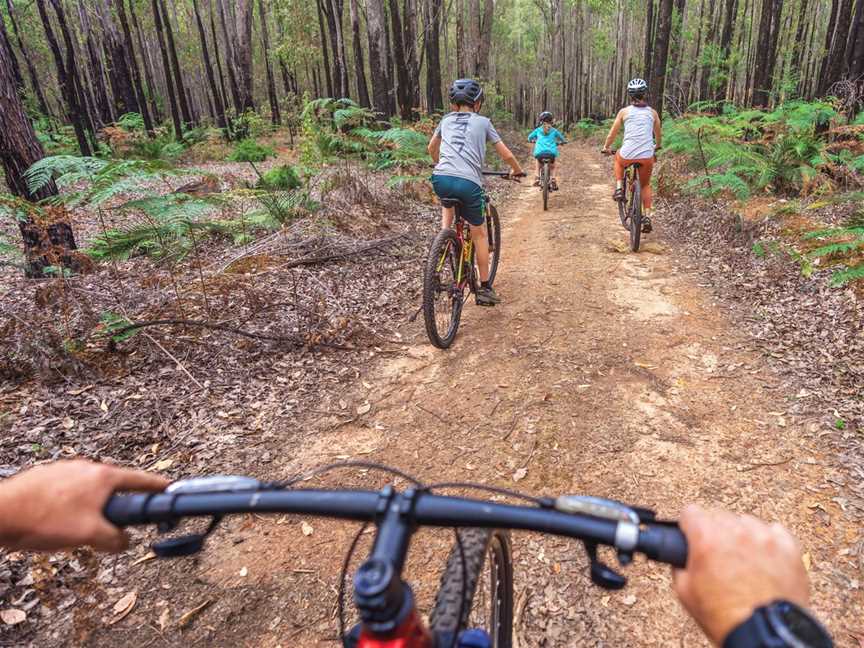 Dwellingup Adventures, Tours in Dwellingup