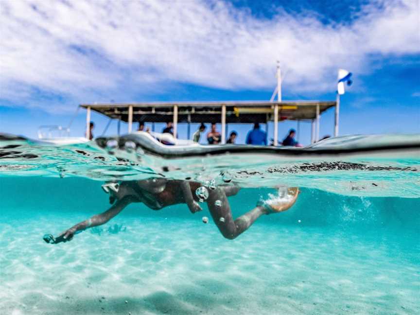 Ningaloo Glass Bottom Boat, Tours in Exmouth