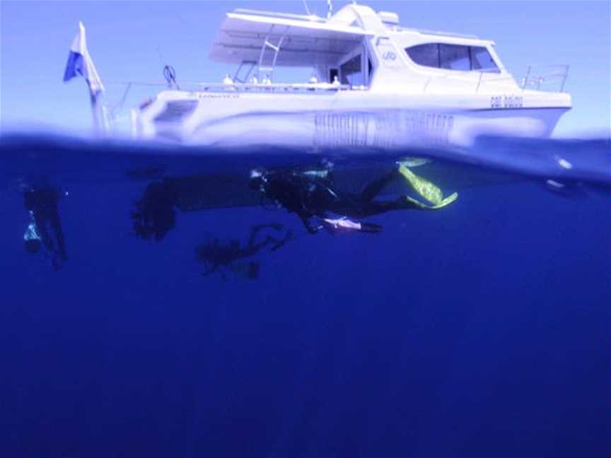 Coastal Water Dive, Tours in Bunbury