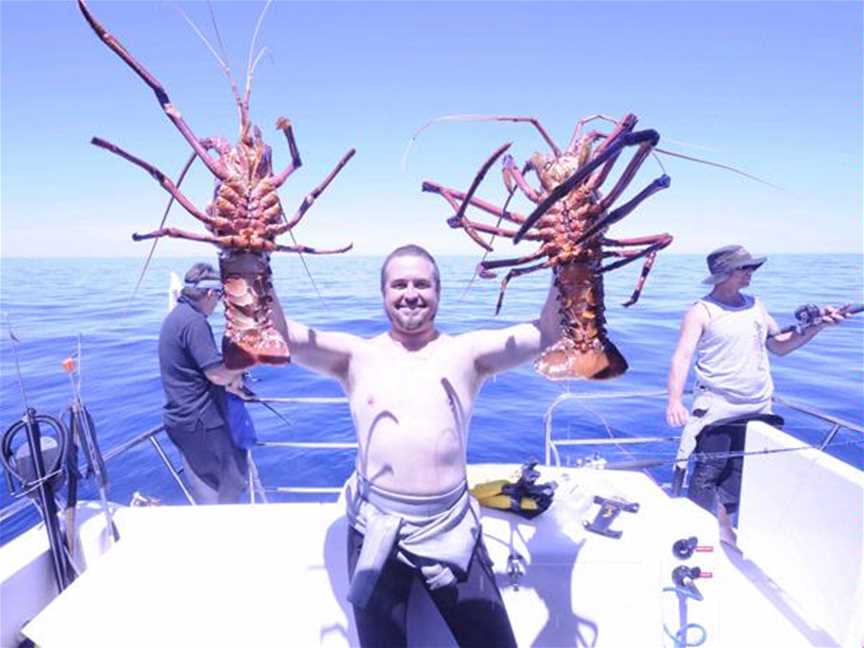 Coastal Water Dive, Tours in Bunbury