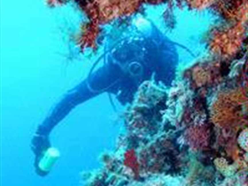 Coastal Water Dive, Tours in Bunbury