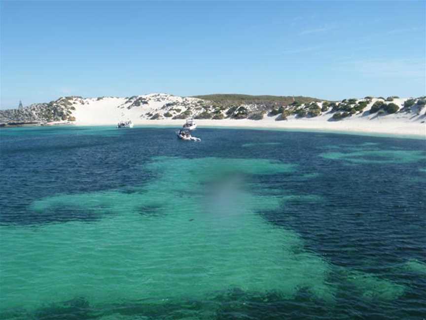 Rottnest Island Eco-Boat, Tours in Rottnest Island