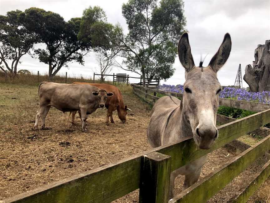 Echo Farm, Mount Gambier, SA