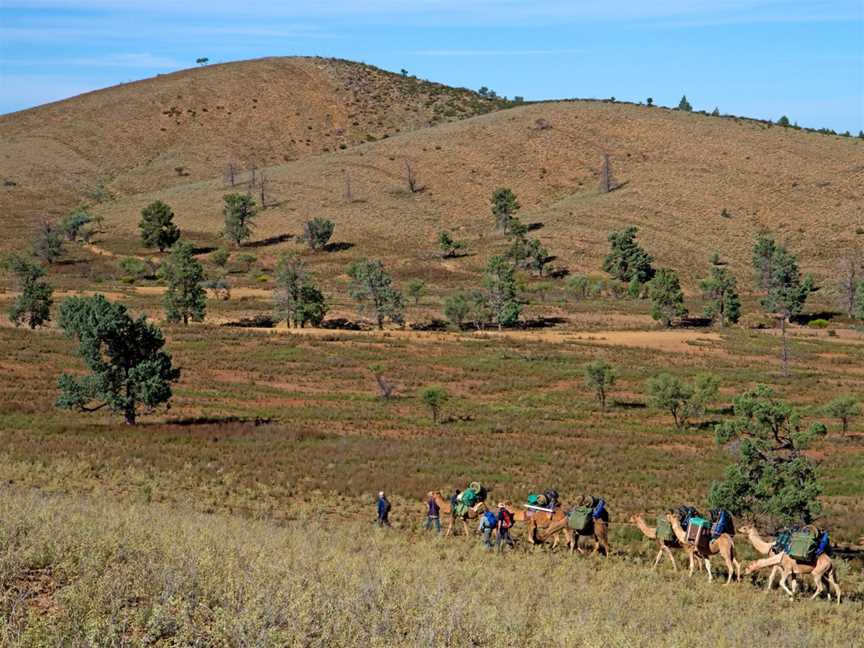 Australian Walking Holidays, Adelaide, SA