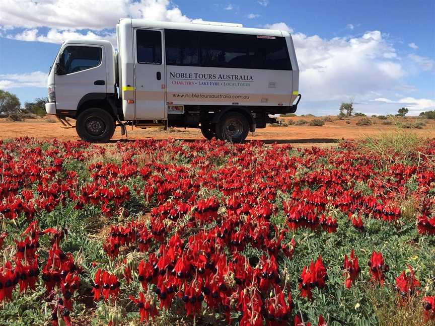 Noble Tours Australia, Coober Pedy, SA