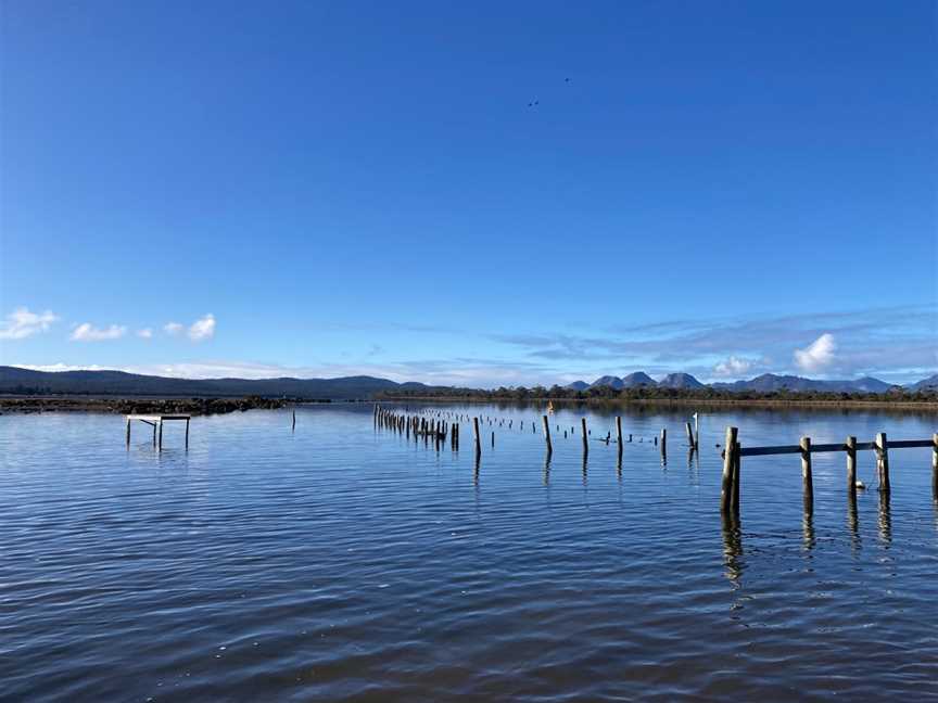 Oyster Bay Tours, Coles Bay, TAS