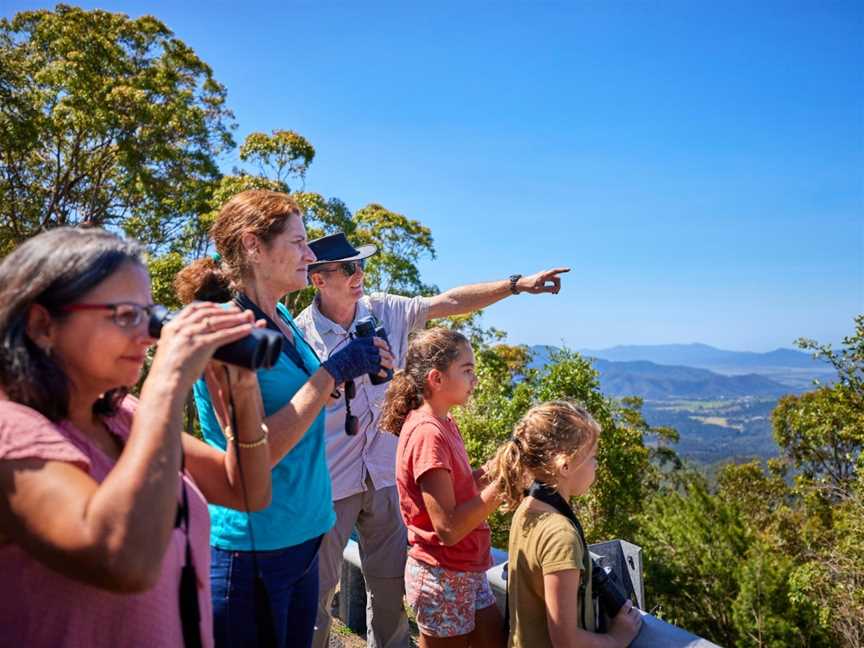 Wait-a-While Rainforest Tours, Cairns City, QLD