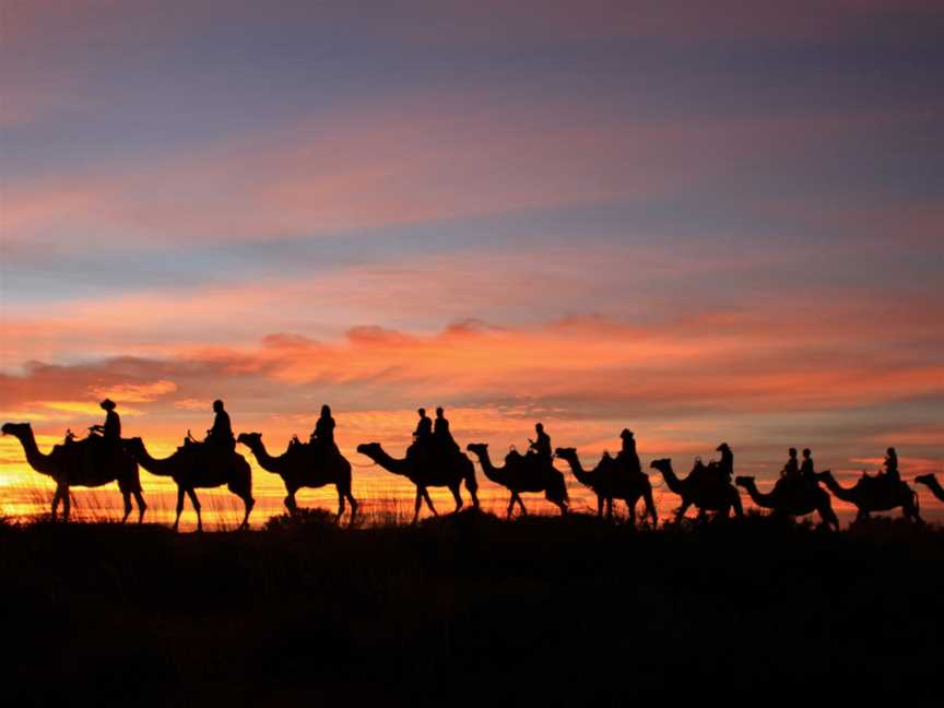 Uluru Camel Tours, Yulara, NT