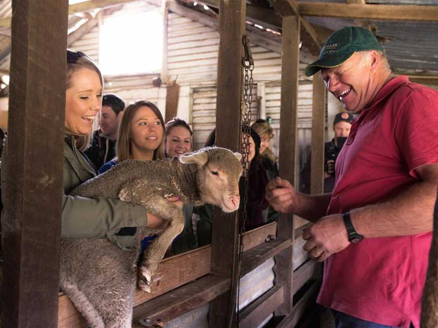 Kangaroo Island Adventure Tours, Adelaide, SA