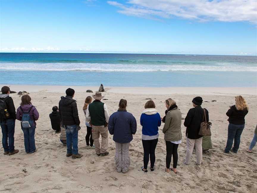 Kangaroo Island Adventure Tours, Adelaide, SA