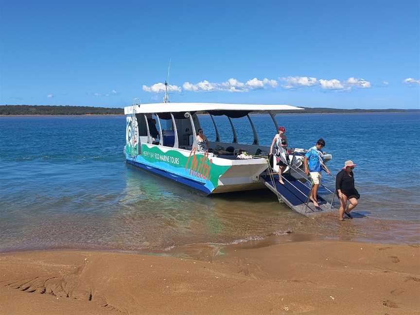 Hervey Bay Eco Marine Tours, Urangan, QLD