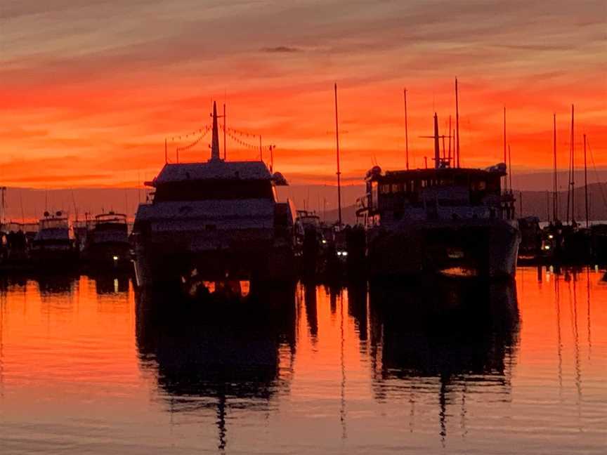 Moonshadow - TQC Cruises, Nelson Bay, NSW