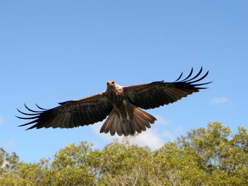 Tweed Eco Cruises, Tweed Heads, NSW