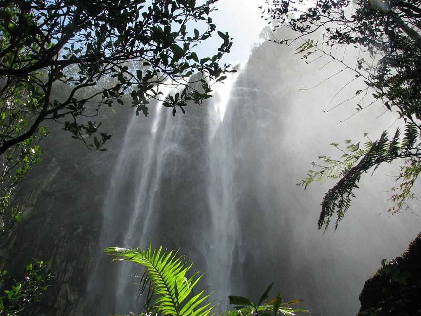 Vision Walks - Eco Tours, Byron Bay, NSW