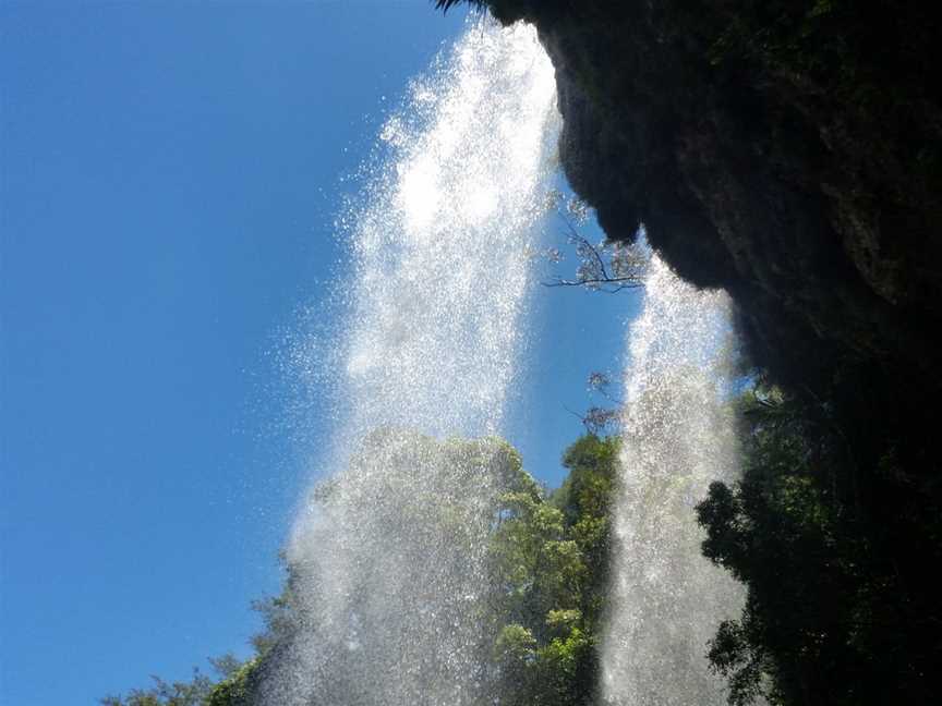 Paradise Tours, Surfers Paradise, QLD