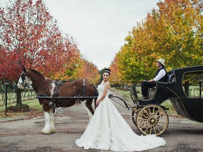 Hunter Valley Horses Carriage Tours, Pokolbin, NSW