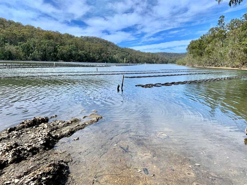 Wagonga Inlet Cruises, Narooma, NSW