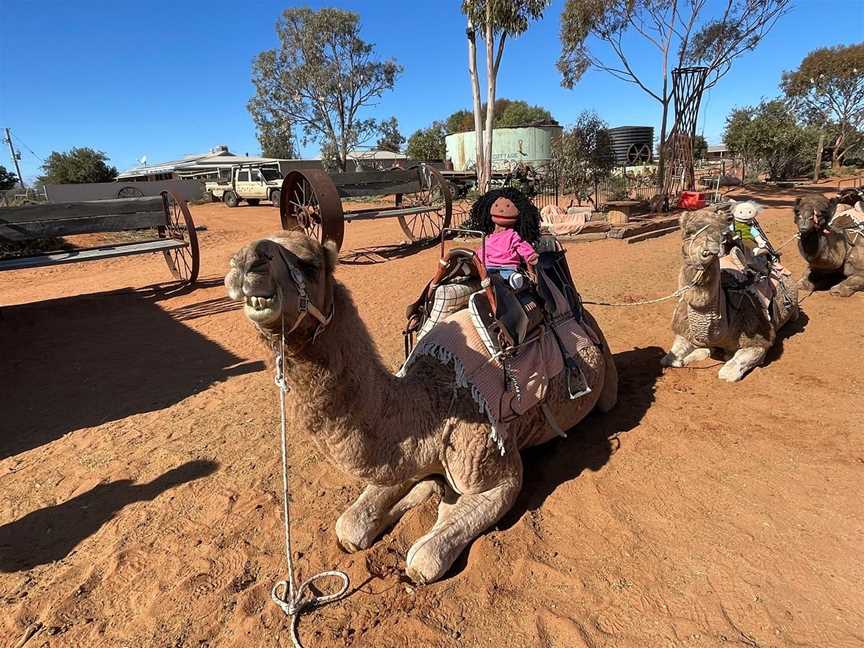 Silverton Outback Camels, Silverton, NSW