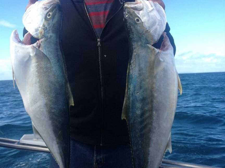 Proline Fishing Charters, Sorrento, VIC