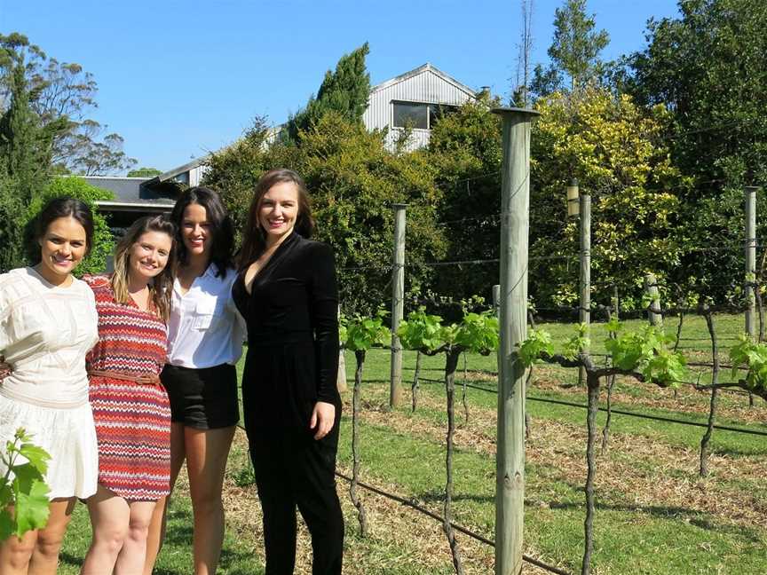 Mount Tamborine Wine Tasting Tours, Surfers Paradise, QLD