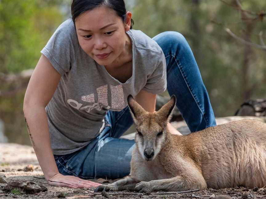 Sydney Guided Tours, Sydney, NSW