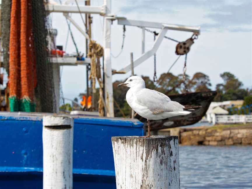 Merinda Cruises, Batemans Bay, NSW