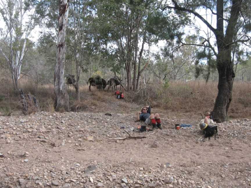 Wilderness Expeditions Tasmania Pty Ltd, Tasmania, TAS