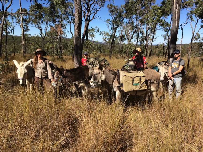 Wilderness Expeditions Tasmania Pty Ltd, Tasmania, TAS