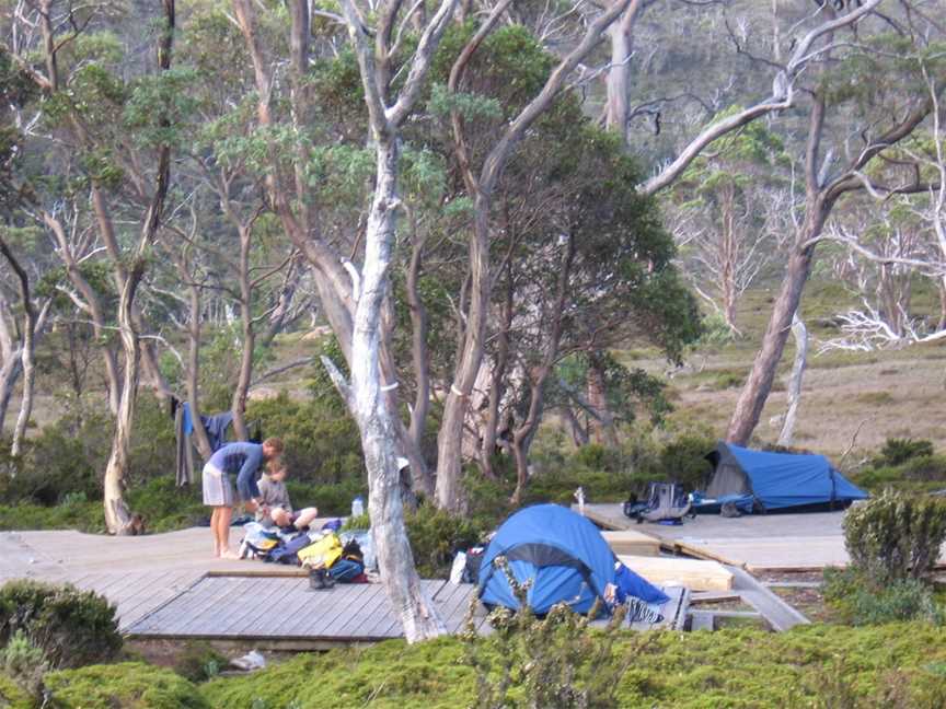 Tasmanian Wilderness Experiences, Glenfern, TAS