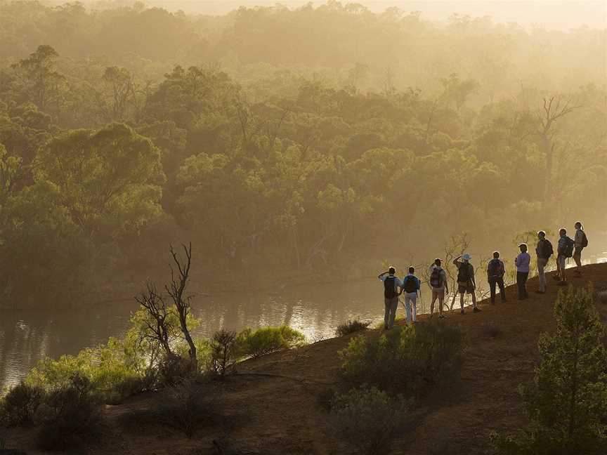 Murray River Trails, Renmark, SA