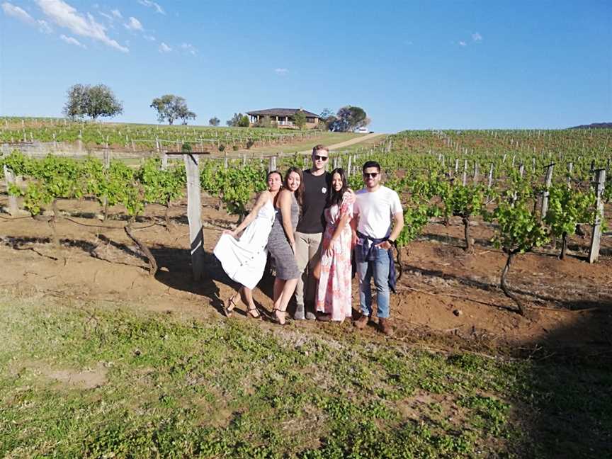 Hunter Valley Wine Tours, Sydney, NSW