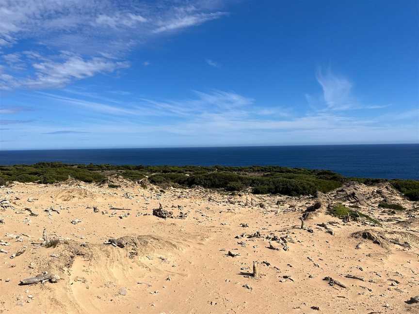 King Island Tours, King Island, TAS