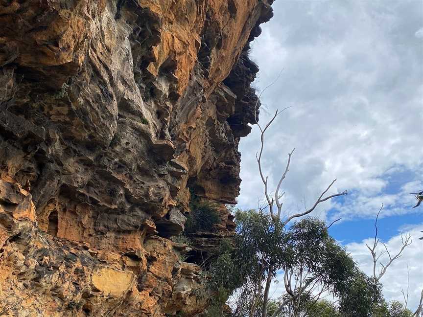 Tread Lightly Eco Tours, Blue Mountains National Park, NSW