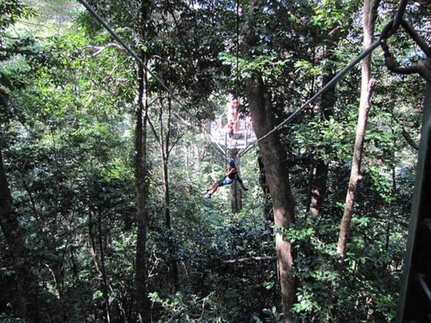 Jungle Tours And Trekking, Bungalow, QLD