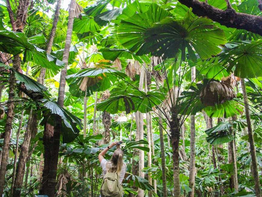 Jungle Tours And Trekking, Bungalow, QLD