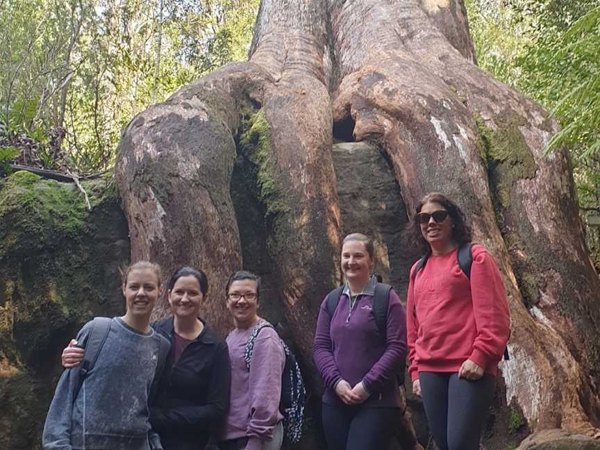 Walk on Kunanyi, Hobart, TAS