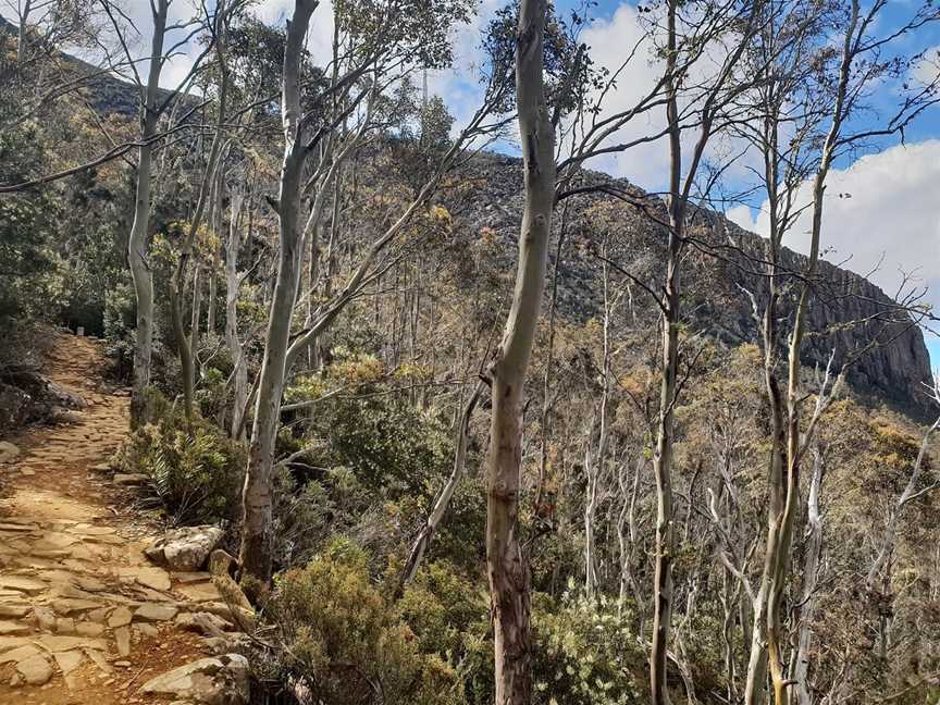 Walk on Kunanyi, Hobart, TAS