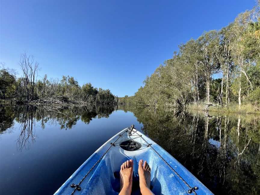 Moondoggie Beach & Bush Tours, Agnes Water, QLD