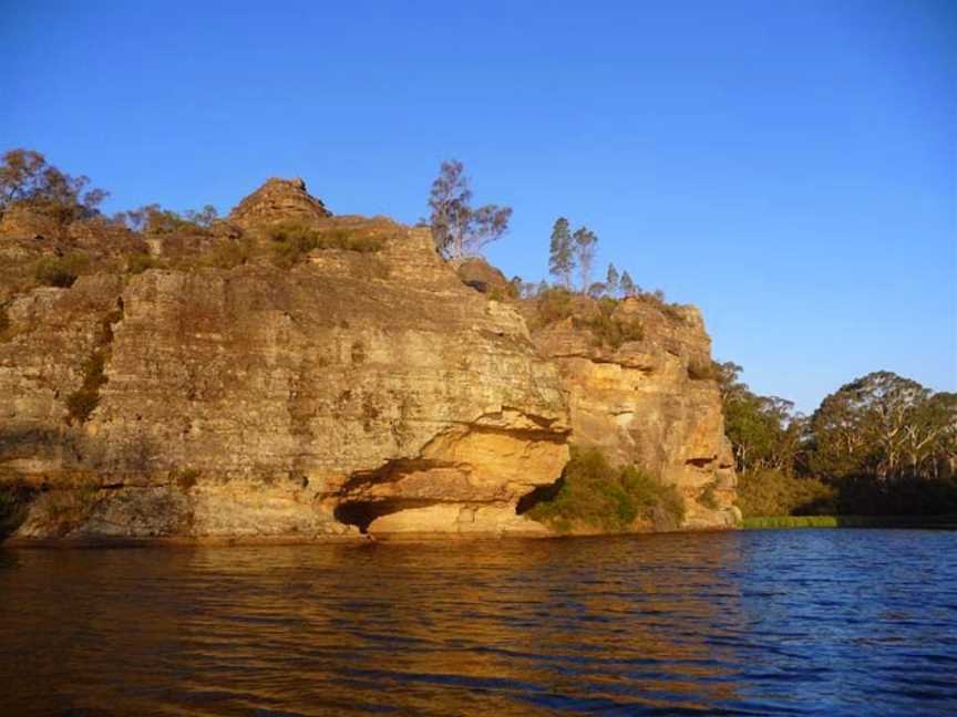 Dingo Tours, Randwick, NSW