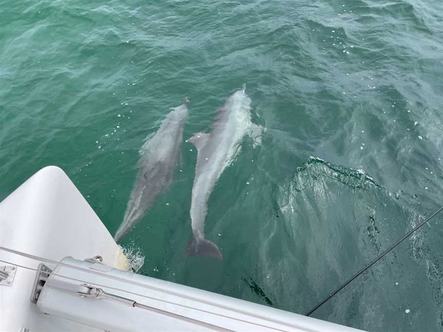 Sunset Charters, Coffin Bay, SA