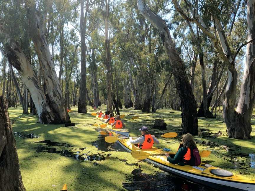 Murray River Adventures, Cohuna, VIC