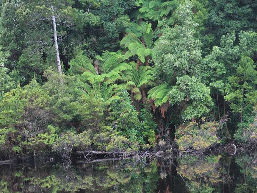 West Coast Yacht Charters - Day Tour, Strahan, TAS