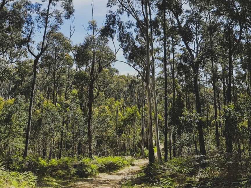 Wild Mindfulness Australia, Daylesford, VIC