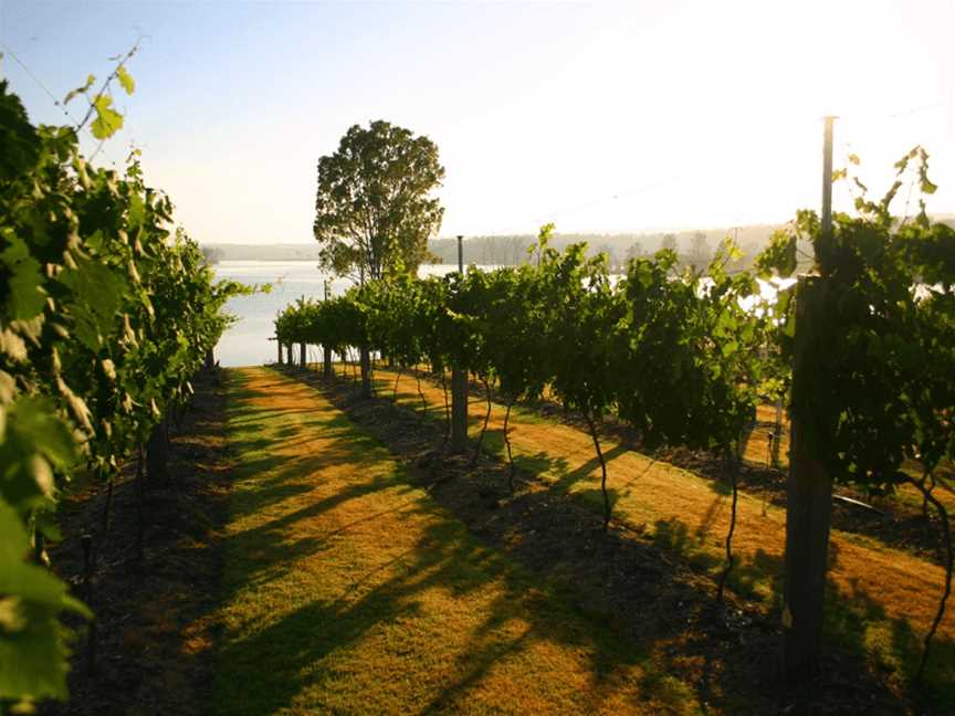 Mountain Wine Tours, Brisbane, QLD