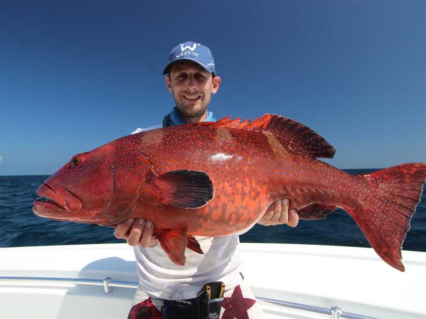 East Coast Angling, Port Douglas, QLD