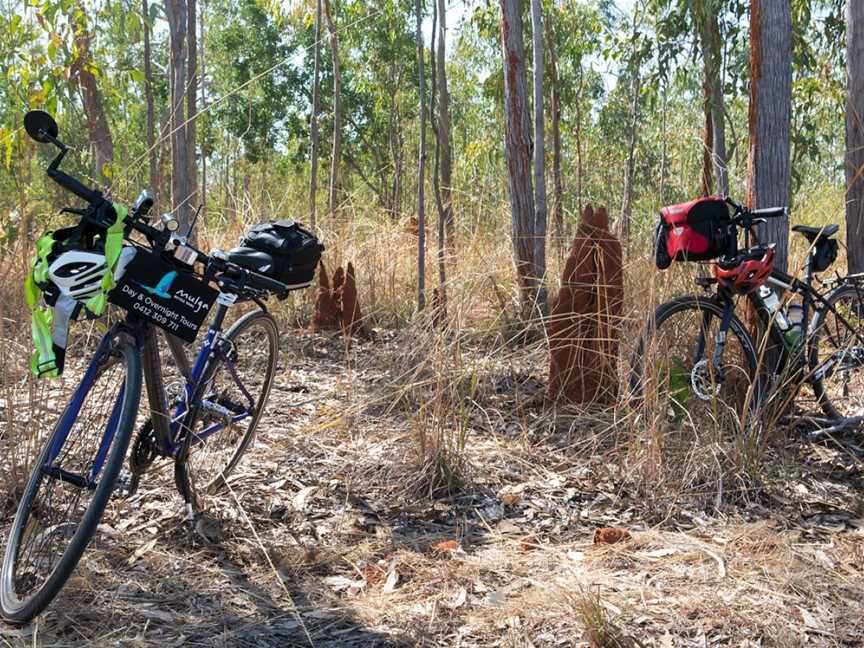 Mulga Bicycle Tours, Canberra, ACT