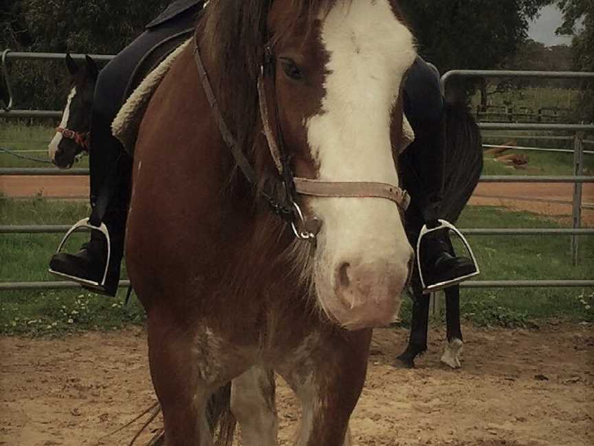 The Humble Horse, Cowaramup, WA