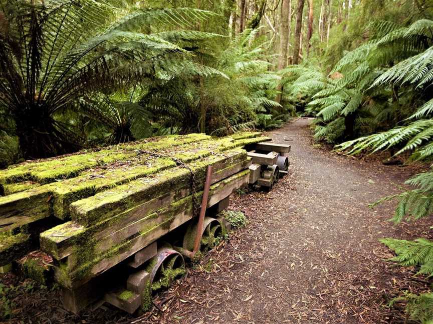 Redgum Roadtrips, Bellarine, VIC